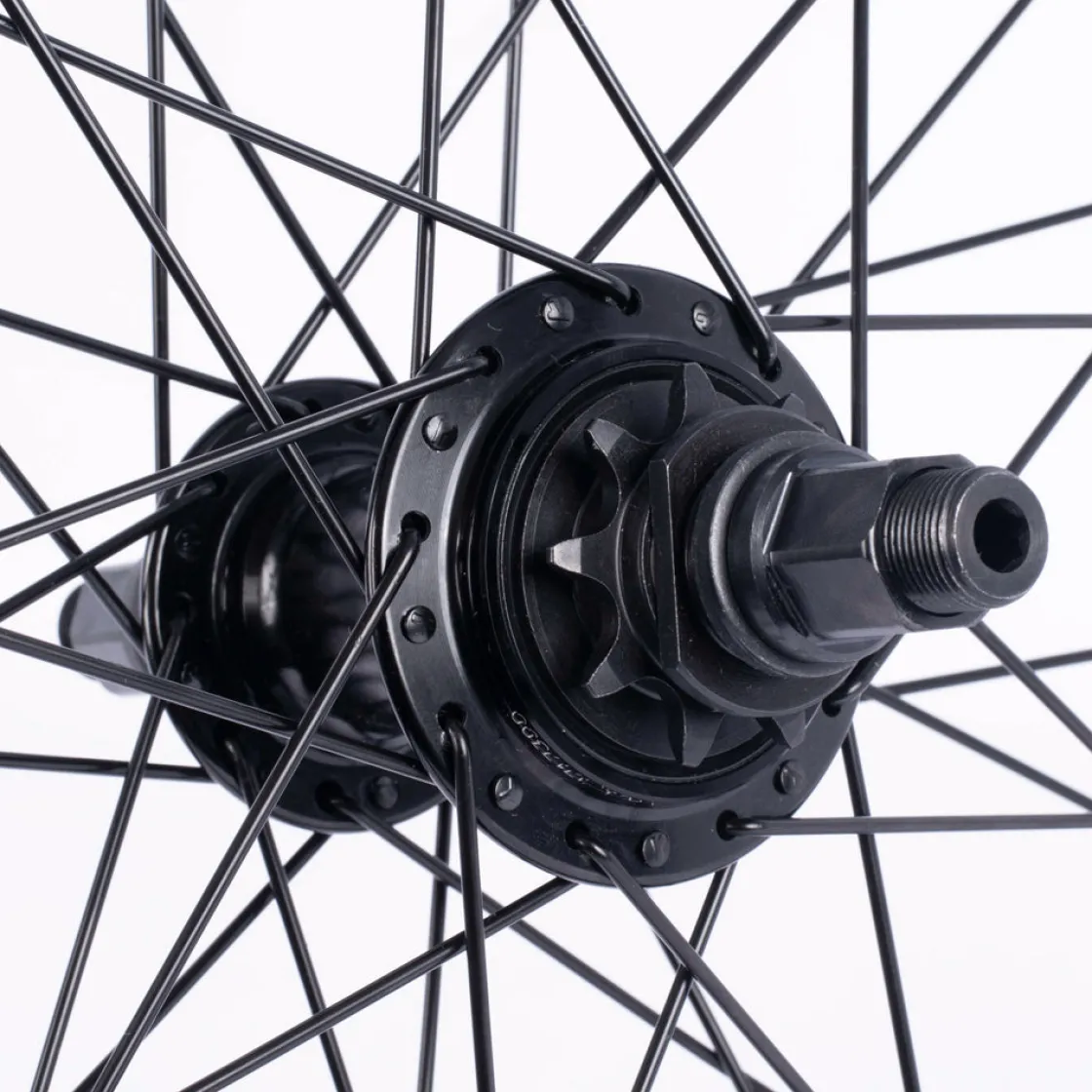 Astronomical Wheel<CULT CREW